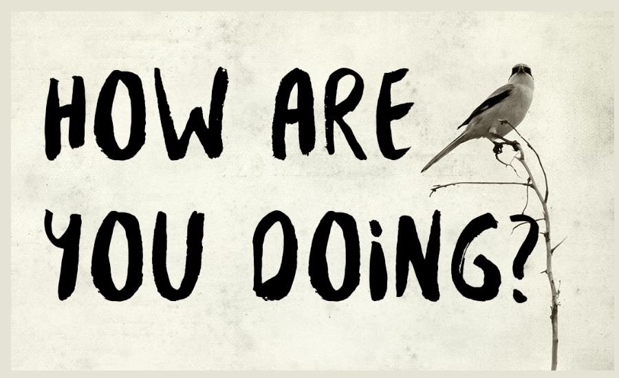 How are you doing