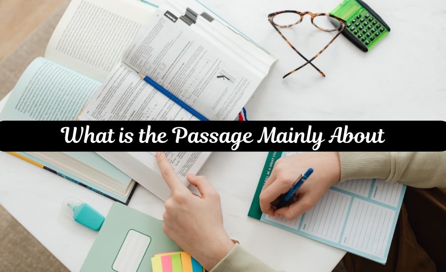 what is the passage mainly about