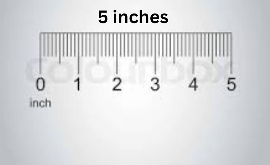 5 inches